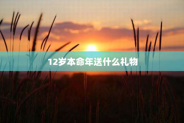 12岁本命年送什么礼物