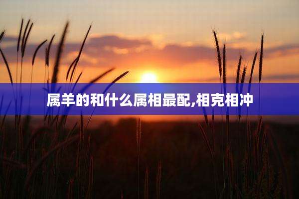 属羊的和什么属相最配,相克相冲