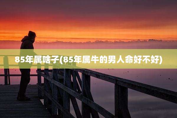 85年属啥子(85年属牛的男人命好不好)