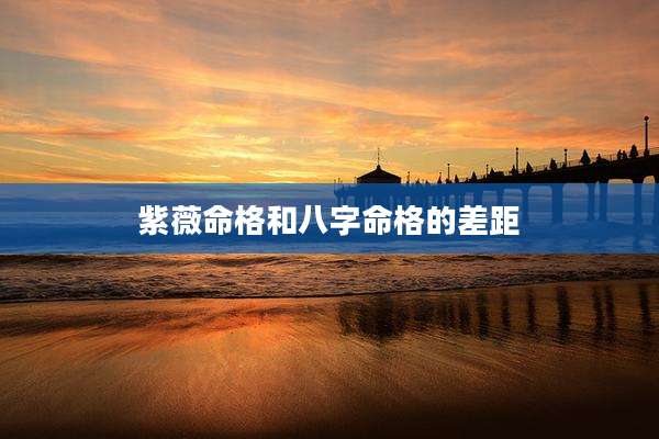 紫薇命格和八字命格的差距