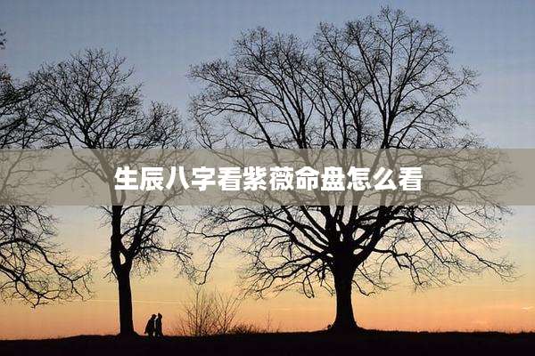 生辰八字看紫薇命盘怎么看