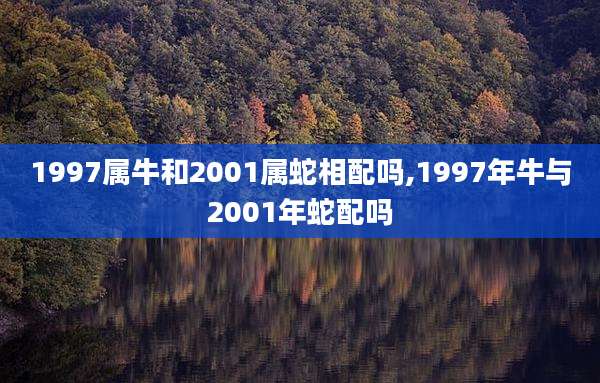 1997属牛和2001属蛇相配吗,1997年牛与2001年蛇配吗