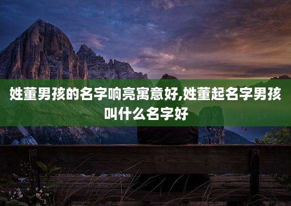 姓董男孩的名字响亮寓意好,姓董起名字男孩叫什么名字好