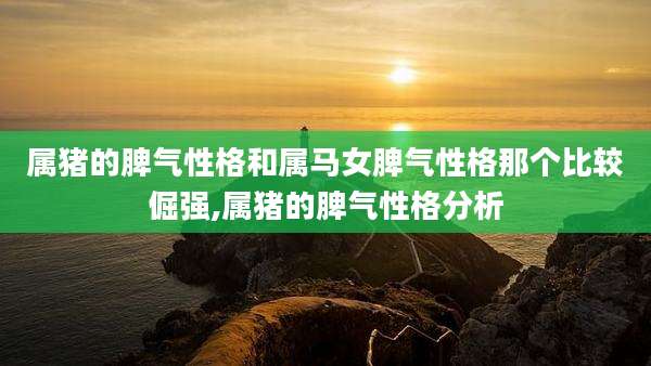 属猪的脾气性格和属马女脾气性格那个比较倔强,属猪的脾气性格分析