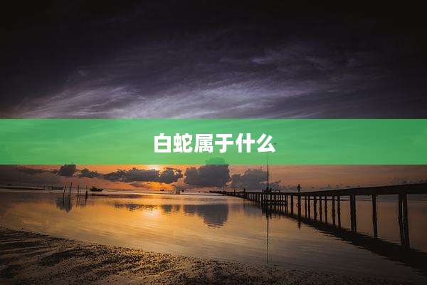 白蛇属于什么
