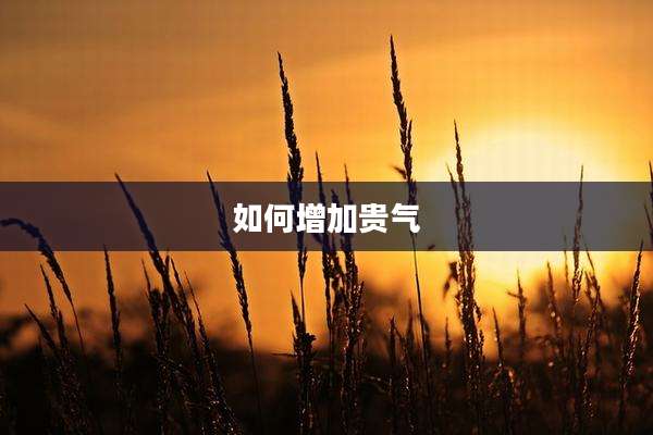 如何增加贵气