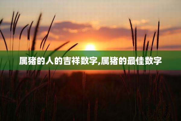 属猪的人的吉祥数字,属猪的最佳数字