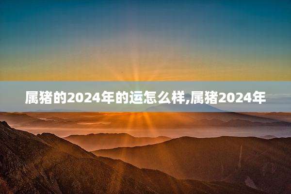 属猪的2024年的运怎么样,属猪2024年