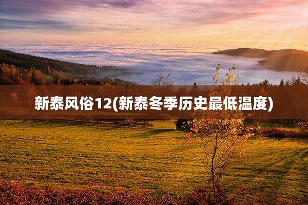 新泰风俗12(新泰冬季历史最低温度)