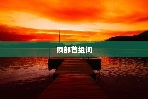 顶部首组词