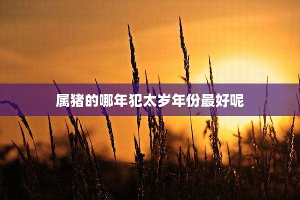 属猪的哪年犯太岁年份最好呢