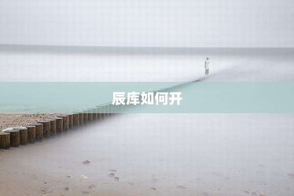 辰库如何开