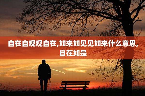 自在自观观自在,如来如见见如来什么意思,自在如是