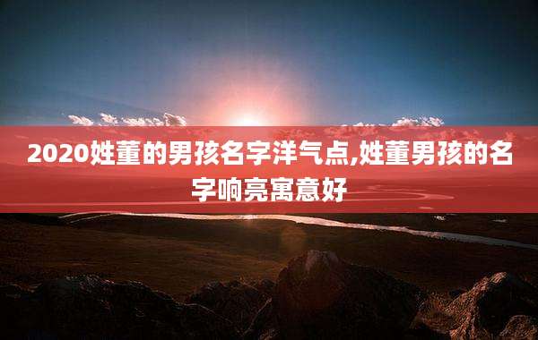 2020姓董的男孩名字洋气点,姓董男孩的名字响亮寓意好