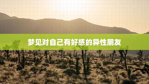 梦见对自己有好感的异性朋友