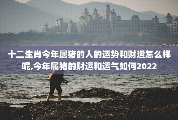 十二生肖今年属猪的人的运势和财运怎么样呢,今年属猪的财运和运气如何2022