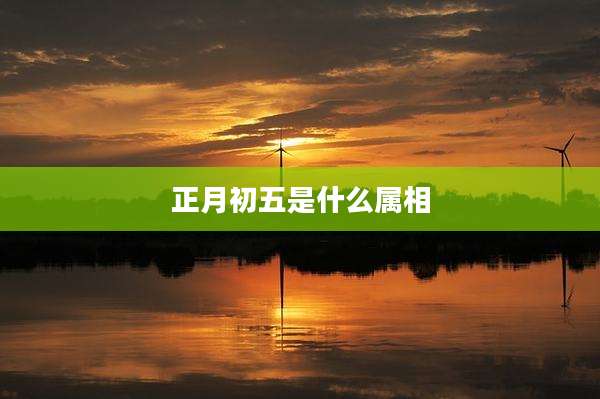 正月初五是什么属相