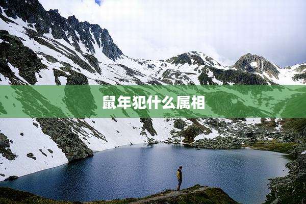 鼠年犯什么属相