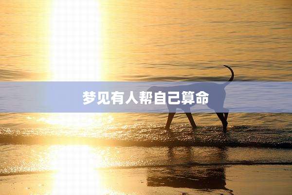 梦见有人帮自己算命