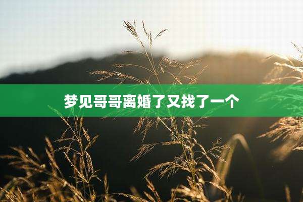 梦见哥哥离婚了又找了一个