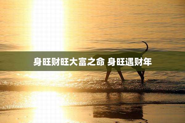 身旺财旺大富之命 身旺遇财年