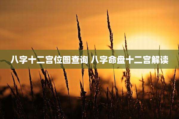 八字十二宫位图查询 八字命盘十二宫解读
