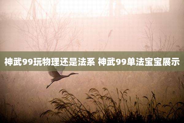 神武99玩物理还是法系 神武99单法宝宝展示