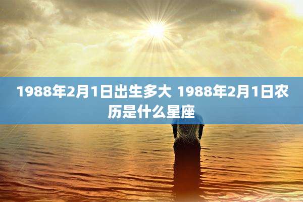 1988年2月1日出生多大 1988年2月1日农历是什么星座