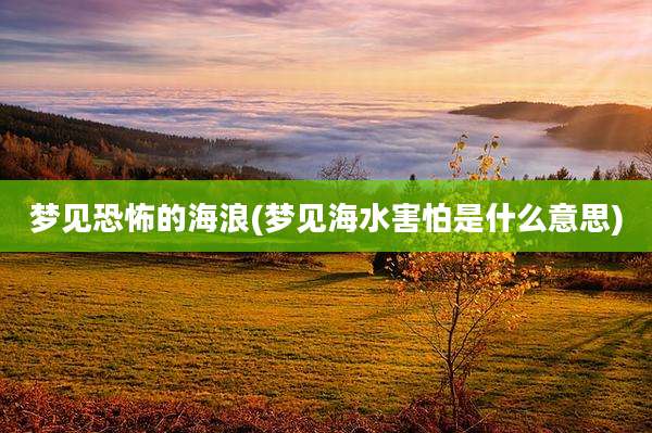 梦见恐怖的海浪(梦见海水害怕是什么意思)