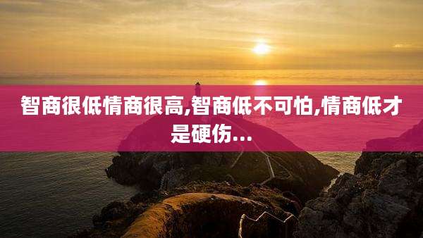 智商很低情商很高,智商低不可怕,情商低才是硬伤...