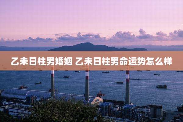 乙未日柱男婚姻 乙未日柱男命运势怎么样