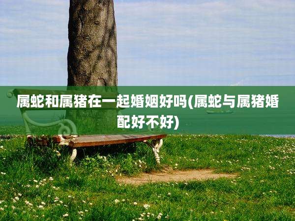 属蛇和属猪在一起婚姻好吗(属蛇与属猪婚配好不好)