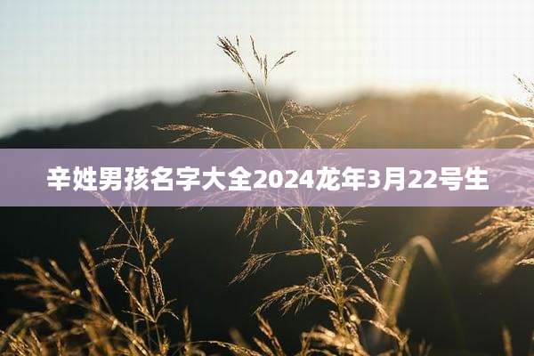 辛姓男孩名字大全2024龙年3月22号生