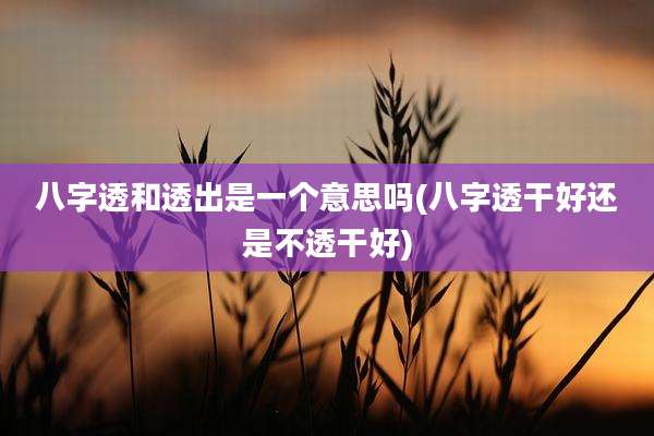 八字透和透出是一个意思吗(八字透干好还是不透干好)