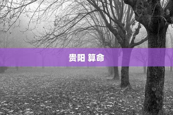 贵阳 算命