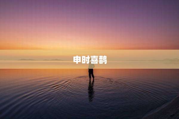 申时喜鹊