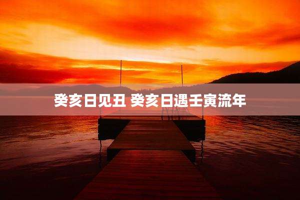 癸亥日见丑 癸亥日遇壬寅流年