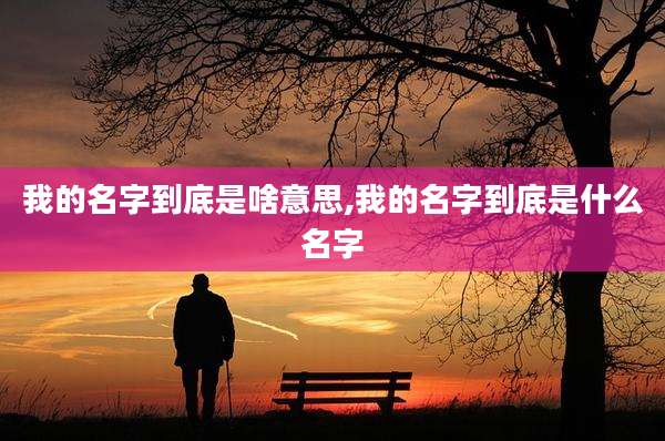 我的名字到底是啥意思,我的名字到底是什么名字