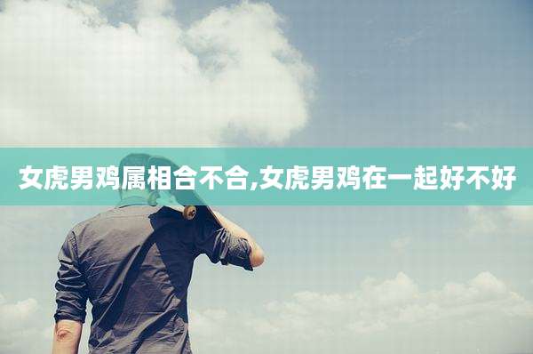 女虎男鸡属相合不合,女虎男鸡在一起好不好