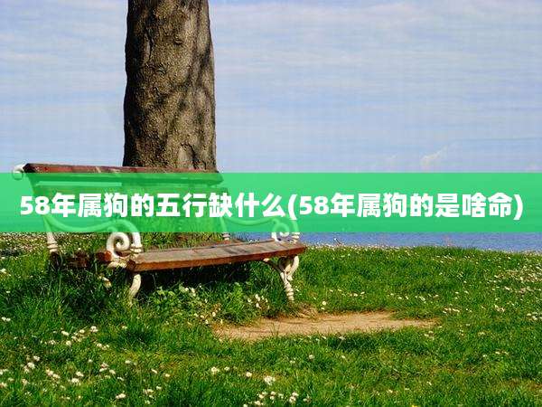 58年属狗的五行缺什么(58年属狗的是啥命)