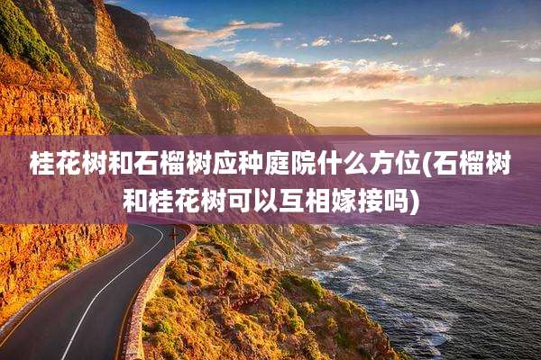 桂花树和石榴树应种庭院什么方位(石榴树和桂花树可以互相嫁接吗)