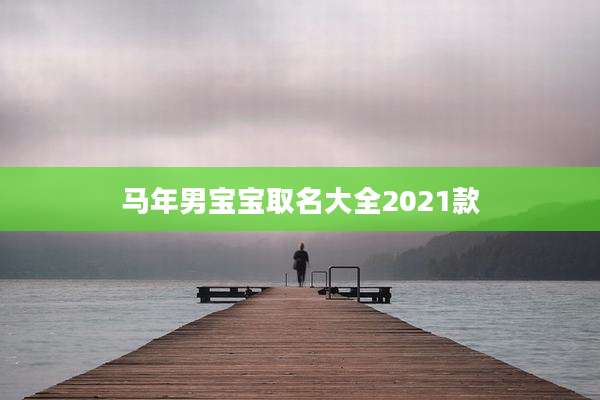 马年男宝宝取名大全2021款