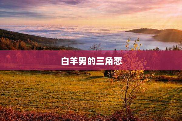 白羊男的三角恋