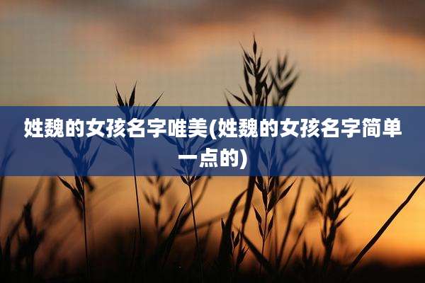 姓魏的女孩名字唯美(姓魏的女孩名字简单一点的)