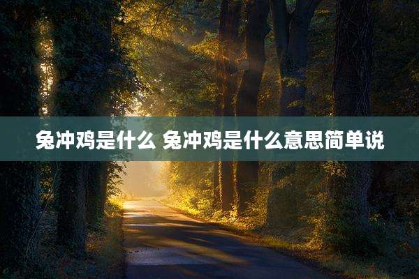 兔冲鸡是什么 兔冲鸡是什么意思简单说