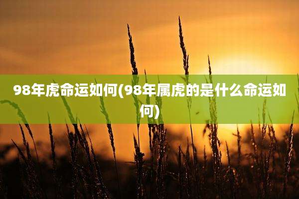 98年虎命运如何(98年属虎的是什么命运如何)