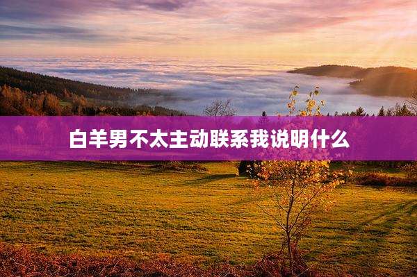 白羊男不太主动联系我说明什么