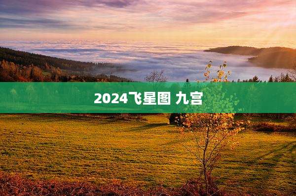 2024飞星图 九宫