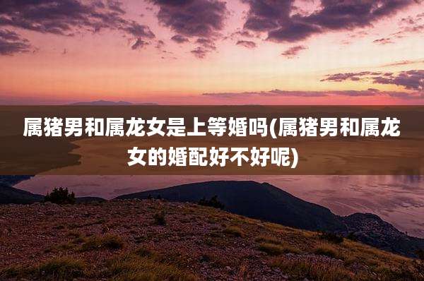 属猪男和属龙女是上等婚吗(属猪男和属龙女的婚配好不好呢)