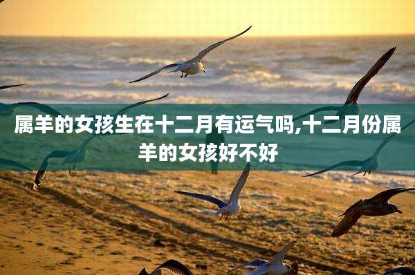 属羊的女孩生在十二月有运气吗,十二月份属羊的女孩好不好